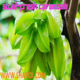 SBJEI- FRESH CARAMBOLA